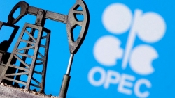 A difficult problem for OPEC+