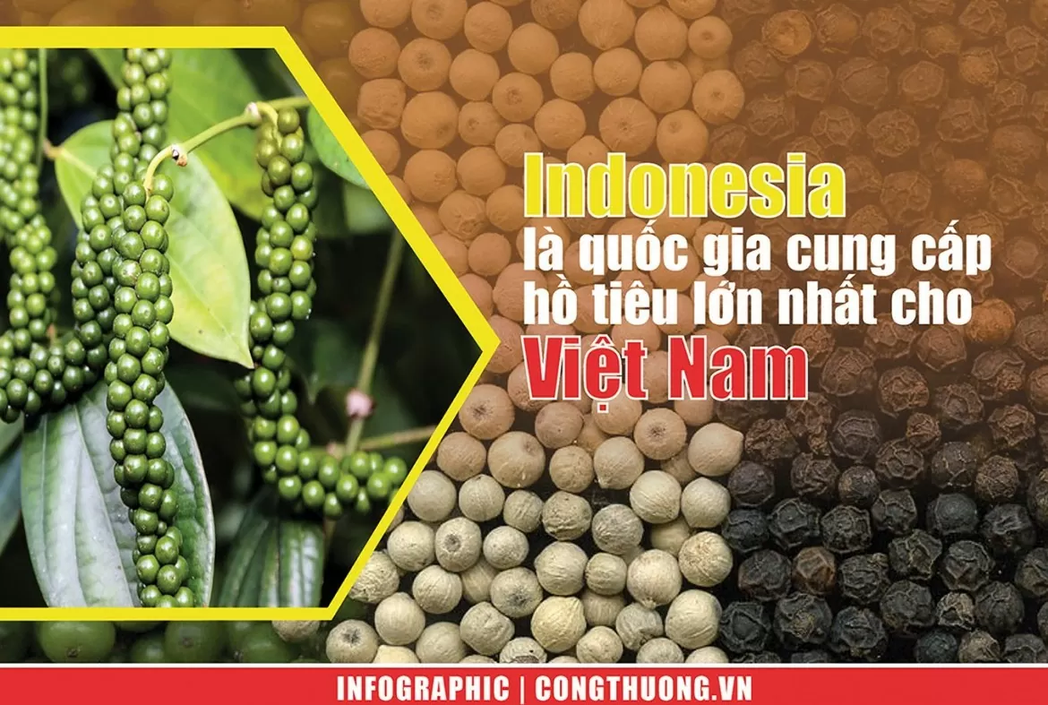 Infografik | Indonesien ist der größte Pfefferlieferant Vietnams.
