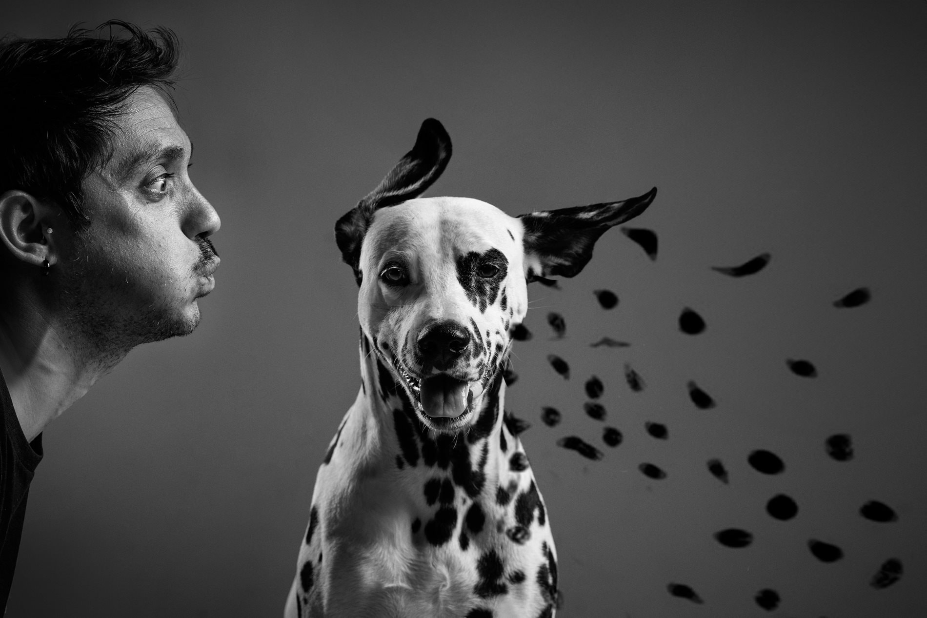 ០១-dalmata-al-desnudo.jpg