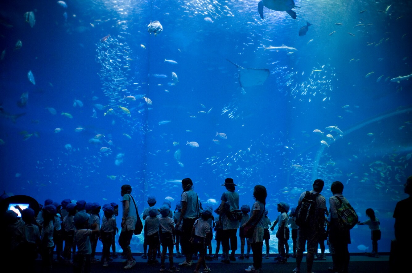 Aqua World Oarai Aquarium Ibaraki Prefecture