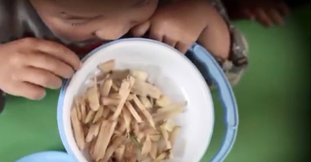 Los estudiantes de preescolar comen arroz con jengibre y sal, ¿qué dice el distrito de Mu Cang Chai?