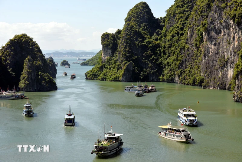 Überprüfen und klären Sie den Fall eines Kreuzfahrtschiffs, das Passagiere in der Ha Long Bucht „im Stich ließ“.