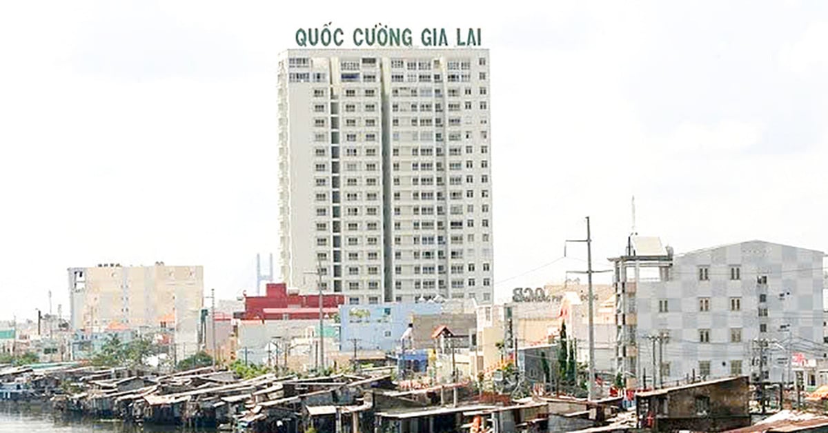 Reason for suspending auditor signing financial report of Quoc Cuong Gia Lai