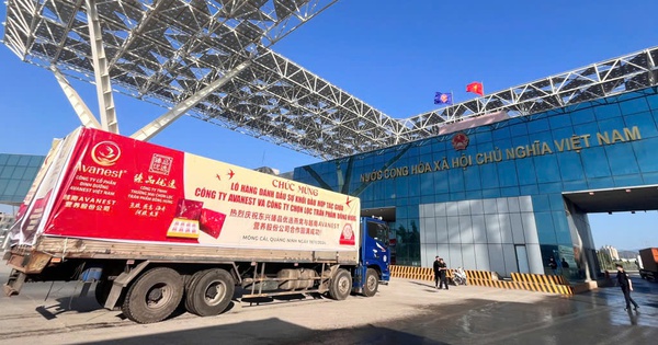 Quang Ninh exports first batch of bird's nest to China