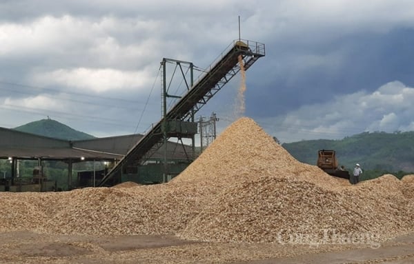 En 2023, la production d'exportation de copeaux de bois atteindra près de 16 millions de tonnes