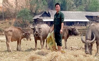 El veterano Giang A Lu cuida la manada de búfalos de su familia.