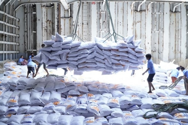 Le riz vietnamien continue de faire face à la concurrence sur les marchés d’exportation traditionnels.