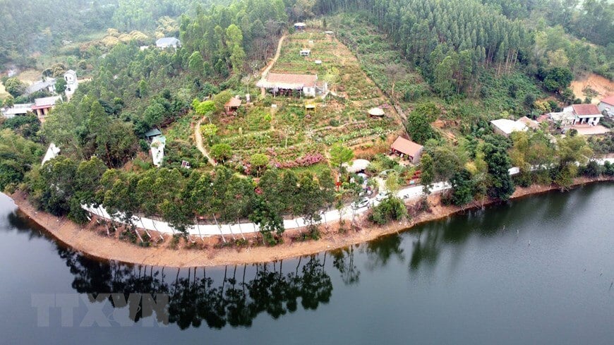 Kingdom of rhododendrons. Photo: VNA.