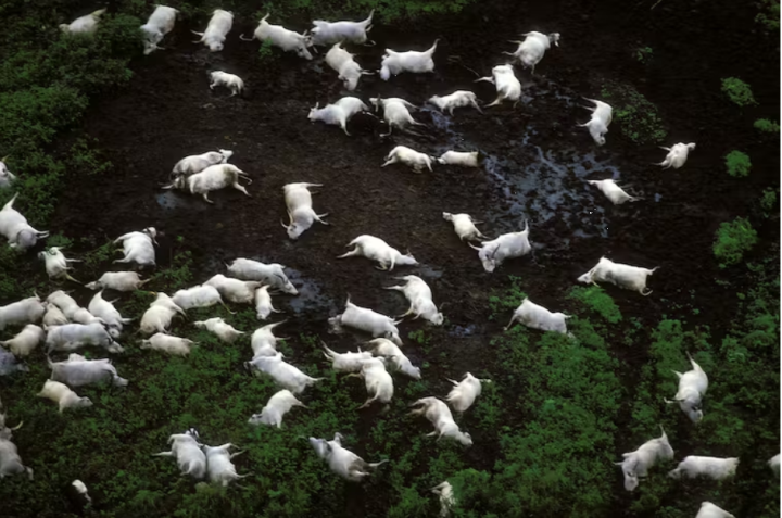 Strange picturesque lake, but once killed nearly 2,000 people in one night - 1