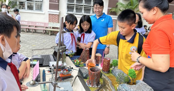 Ho Chi Minh City regulates 3 forms of STEM education in schools