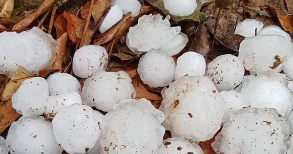 Hagel und Stürme haben die Dächer von mehr als 40 Häusern im Bezirk Muong Lat abgedeckt.