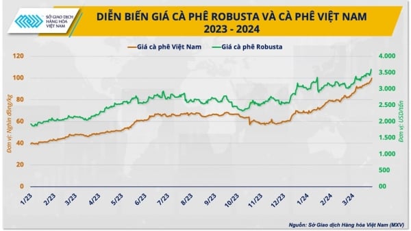 ¿Los precios del café se enfriarán gracias a los nuevos suministros de cosechas de Brasil e Indonesia?