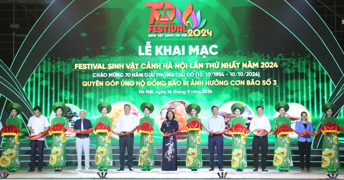 Hanoi inaugura el Festival de Plantas Ornamentales y recauda fondos para ayudar a las víctimas de las inundaciones