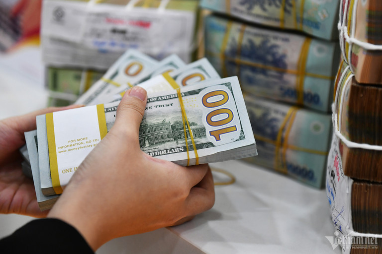 gia usd 1.jpg