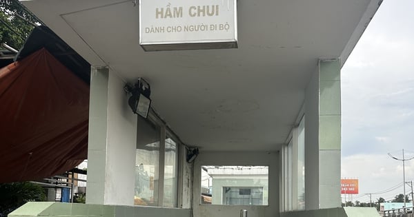 'Bí mật' dưới các hầm bộ hành ở Bình Chánh