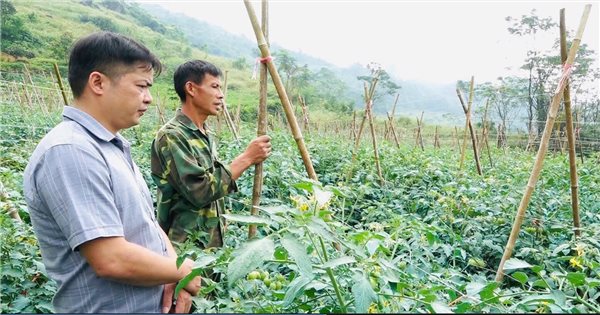 Quan Ba ​​(Ha Giang): Effectiveness in converting crop structure in the border commune of Nghia Thuan