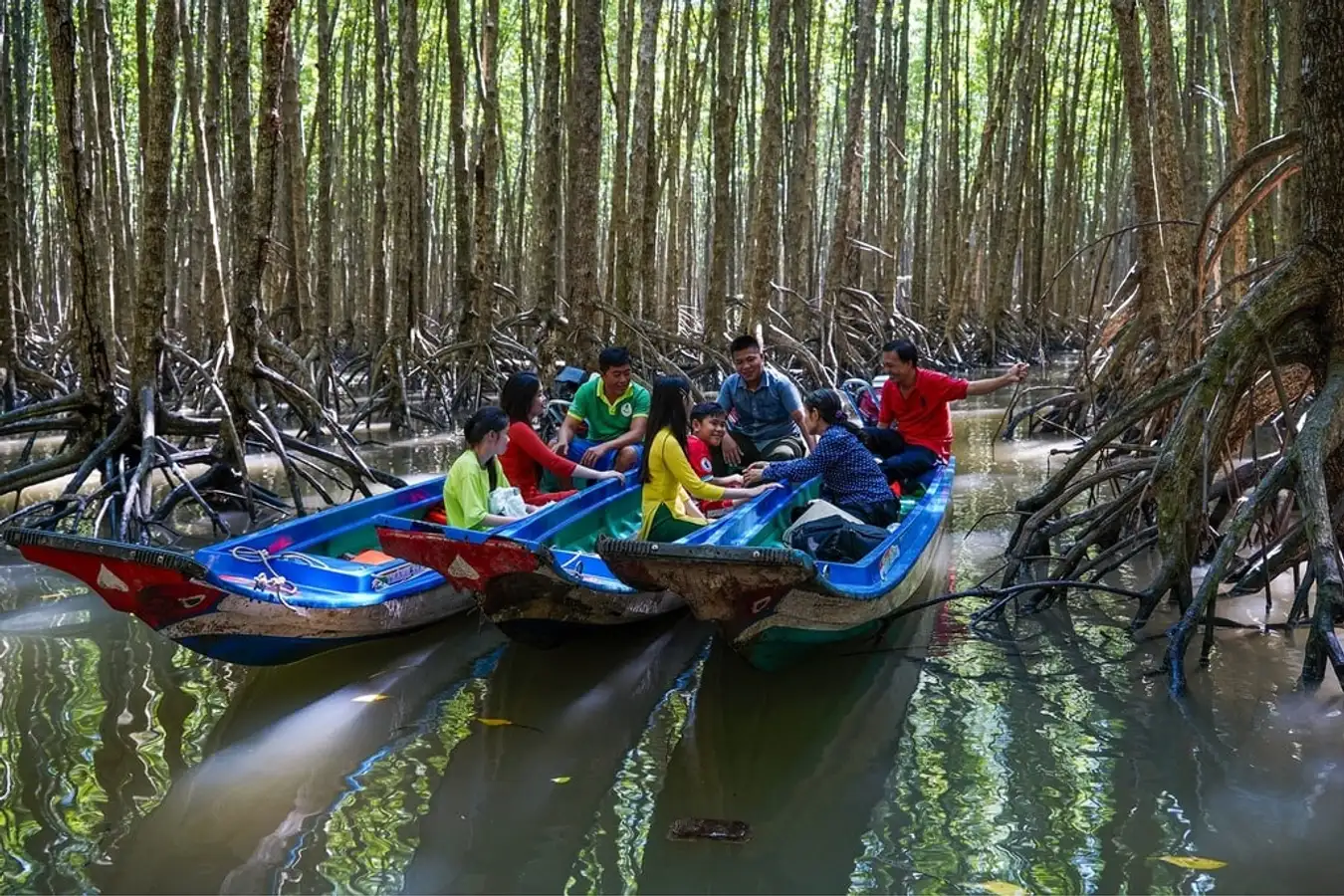 Experimente el ecoturismo en el Cabo Ca Mau