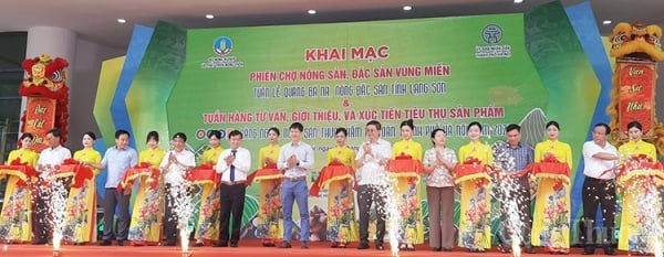 Promotion de la pomme cannelle Chi Lang, un produit agricole de spécialité de la province de Lang Son en 2024 à Hanoi