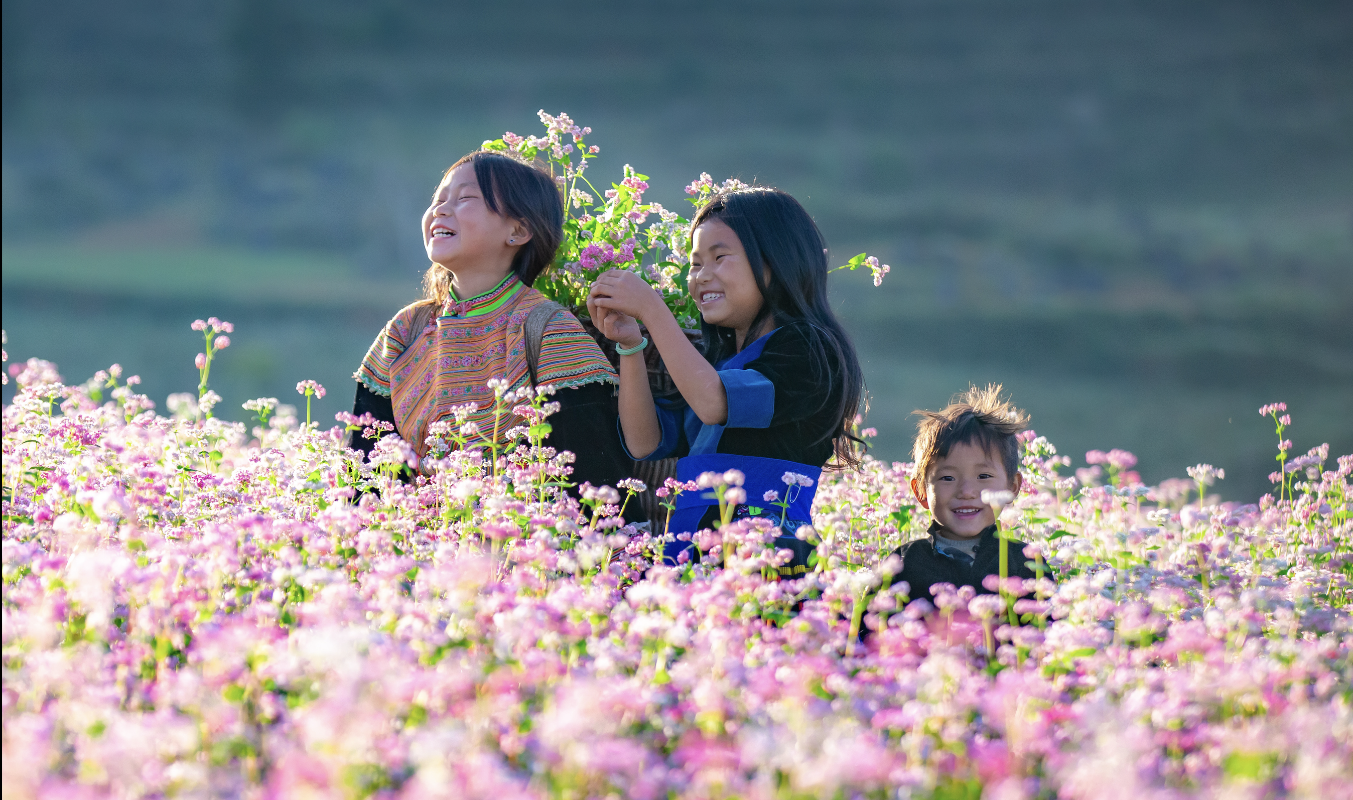 ハザン省の草原は、ソバの花の季節には「ミニチュアスイス」のように美しい。