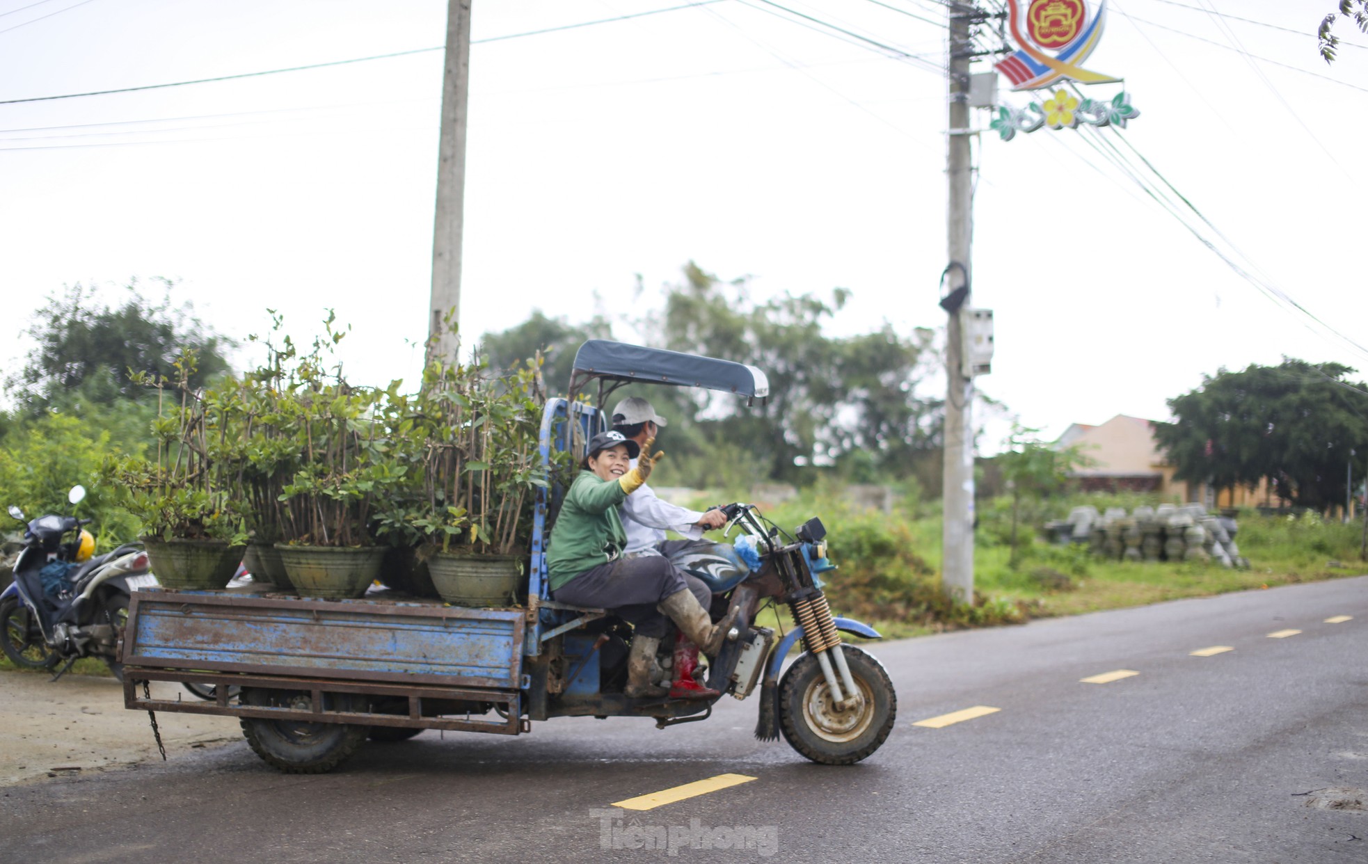 เมืองหลวงดอกท้อเหลืองภาคกลาง “เปลี่ยนชุด” ต้อนรับเทศกาลตรุษจีน ภาพที่ 13