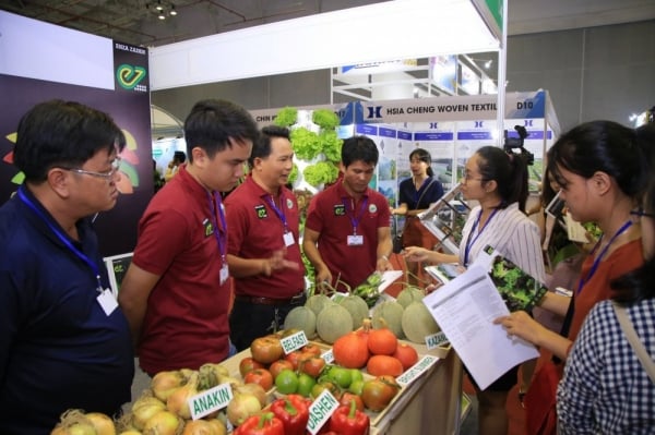 Internationale Käufer nach Vietnam locken, um Obst und Gemüse zu bewerben