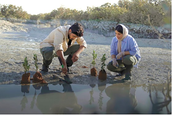 Saudi Arabia is undertaking a huge, bold project to plant 10 billion trees.