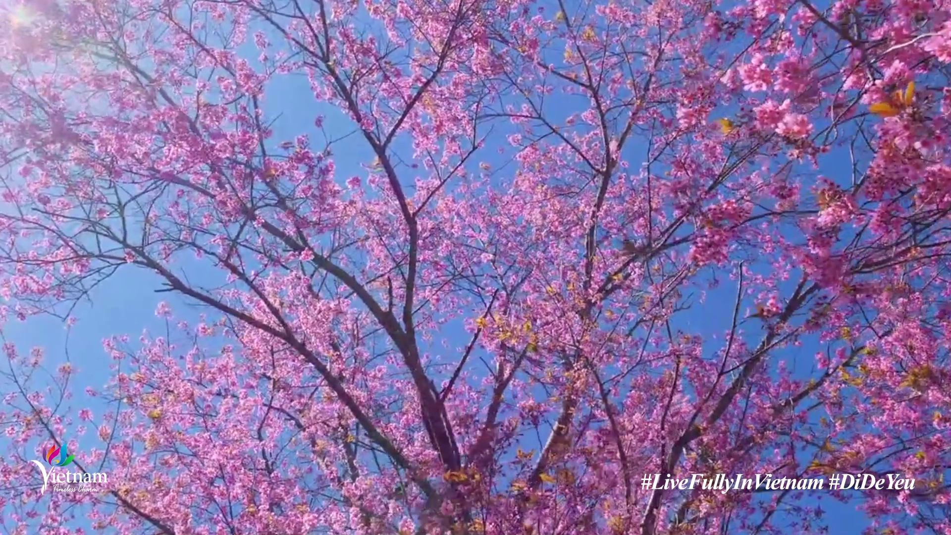 LOVE로 가세요 - 봄 동창회