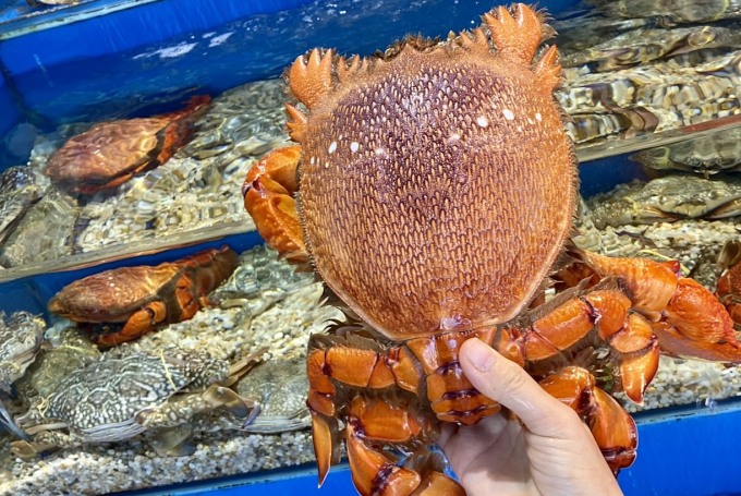 Cangrejo real que pesa casi 2 kg en una tienda de mariscos en la calle Phan Van Tri. Foto: HS Lam Duong