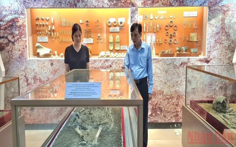 Display of human skeletons found in Dong Dau. Photo: Nhan Dan Newspaper.