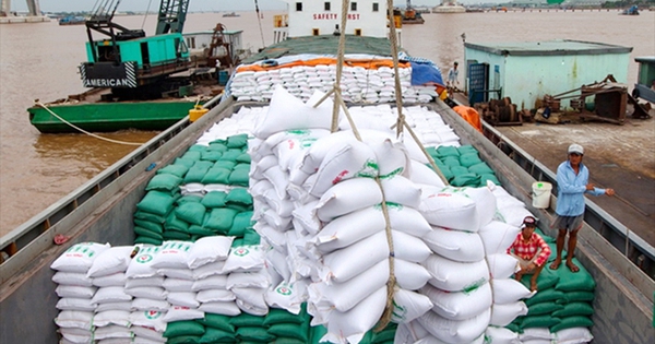 Rice export prices are high, why are businesses in the industry still worried about losses?