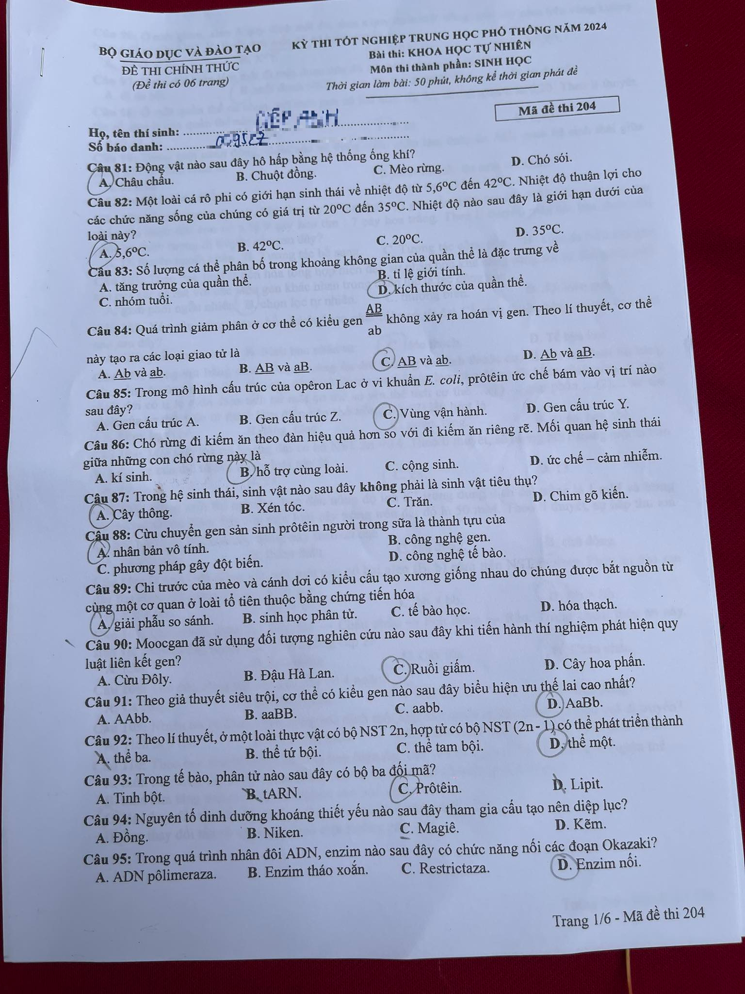 Đề thi môn Vật lý, Hóa học, Sinh học tốt nghiệp THPT 2024 nhanh nhất- Ảnh 27.