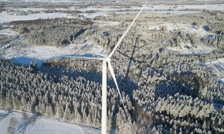 Höchste Holzturbine der Welt nimmt Betrieb auf