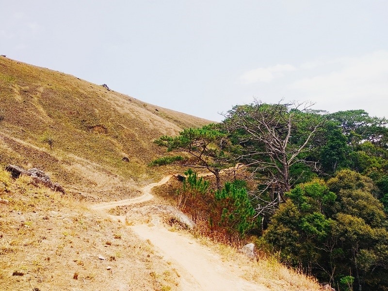 If the green grass season is beautiful and peaceful, the burnt grass season paints a wild look on the hillsides. The burnt grass season corresponds to the dry season lasting from February to June. Photo: PV