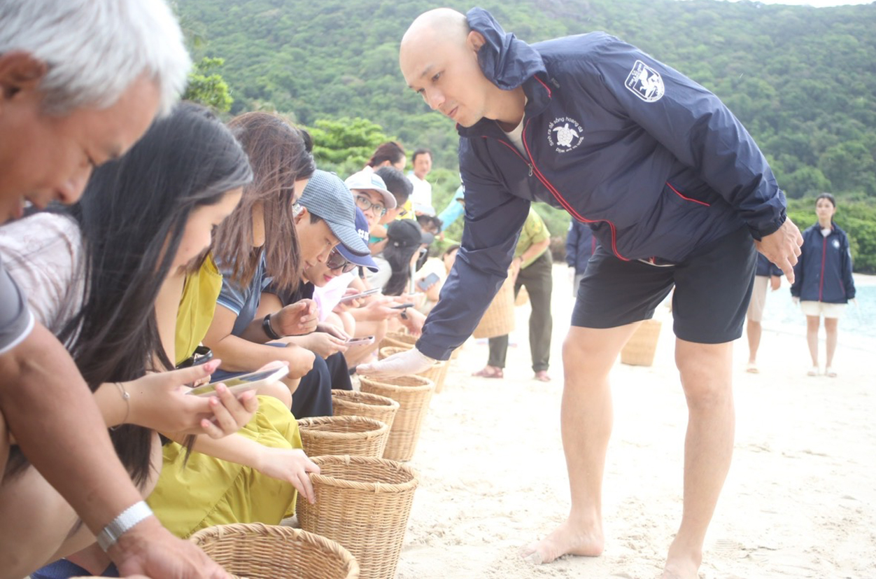 Rùa biển, loài động vật hoang dã bò lên một hòn đảo ở Bà Rịa-Vũng Tàu đẻ thành công 226 ổ trứng- Ảnh 1.