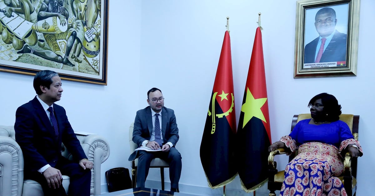 Strengthening Vietnam - Angola cooperation in many fields