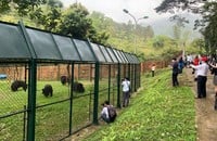 Touristen besuchen das Vietnam Bear Rescue Center im Tam Dao Nationalpark. (Foto: Cao Minh)