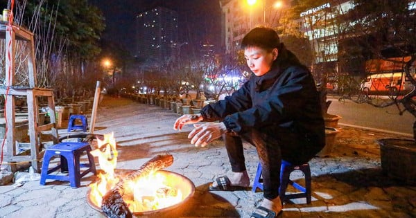 Не спать всю ночь, ухаживая за персиковыми и кумкватовыми деревьями во время Тет при пробирающем до костей холоде всего в 9 градусов по Цельсию