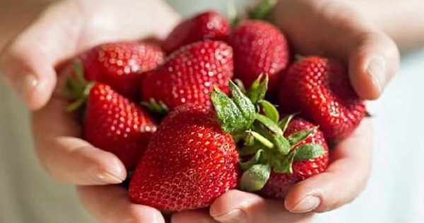 ¿Qué preparar en el refrigerador para no engordar?