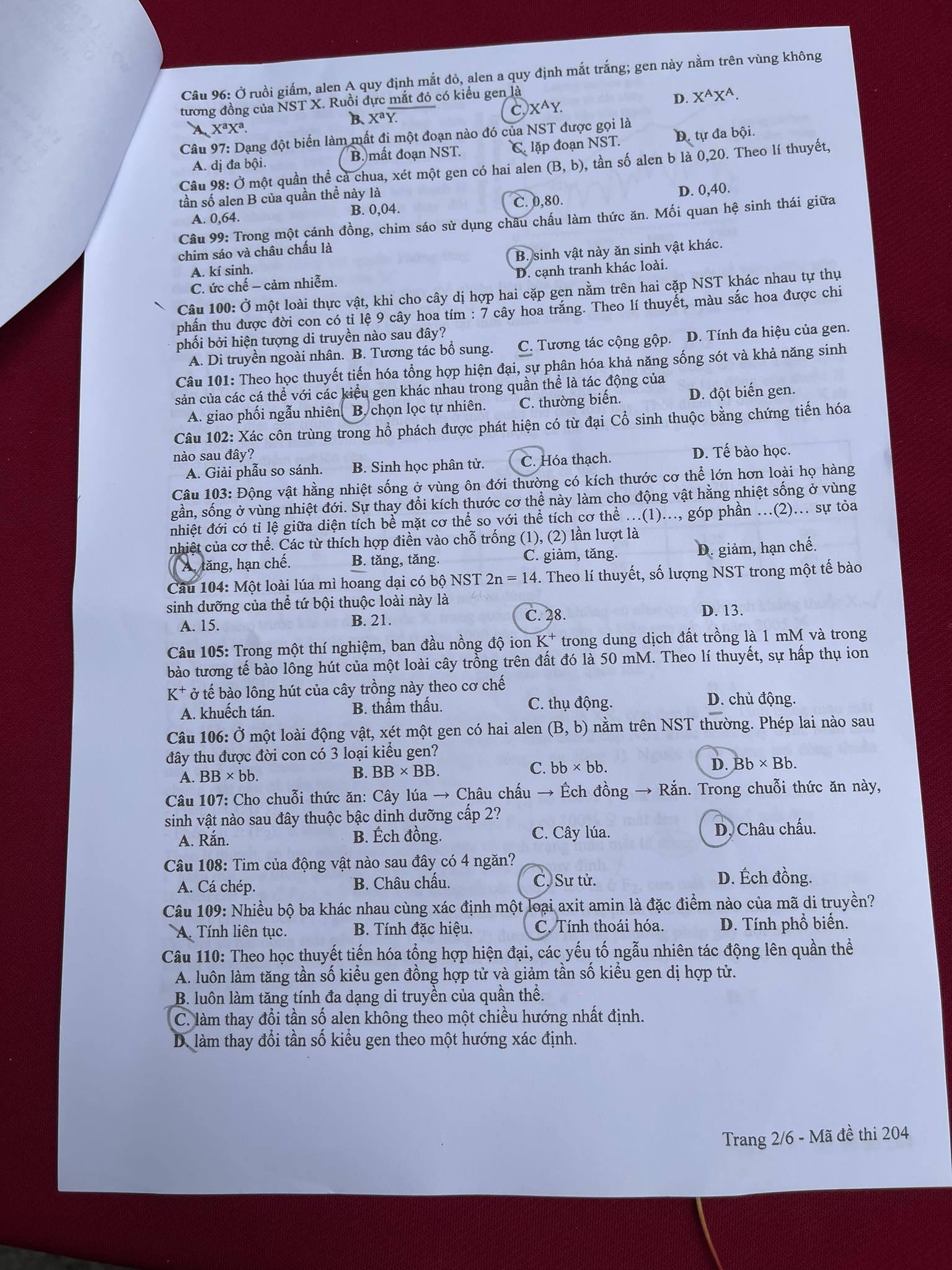 Đề thi môn Vật lý, Hóa học, Sinh học tốt nghiệp THPT 2024 nhanh nhất- Ảnh 28.