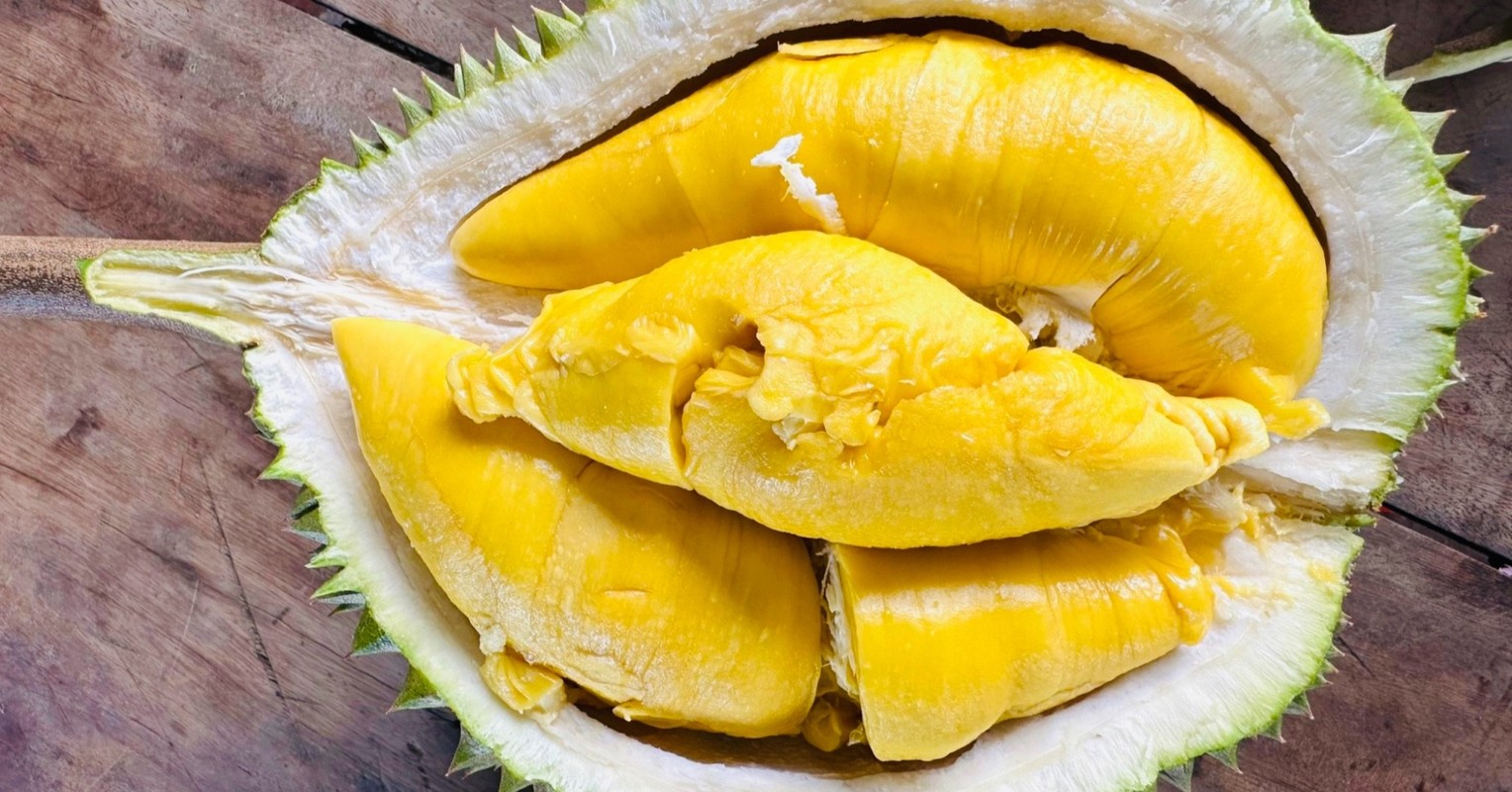 3 loại sầu riêng giá cao ngất ngưởng lên tới cả tỷ đồng/quả: Có loại đã trồng ở Việt Nam và giá đắt đỏ- Ảnh 4.