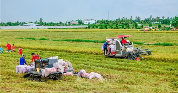 Chuyển đổi số nông nghiệp đạt nhiều kết quả khả quan