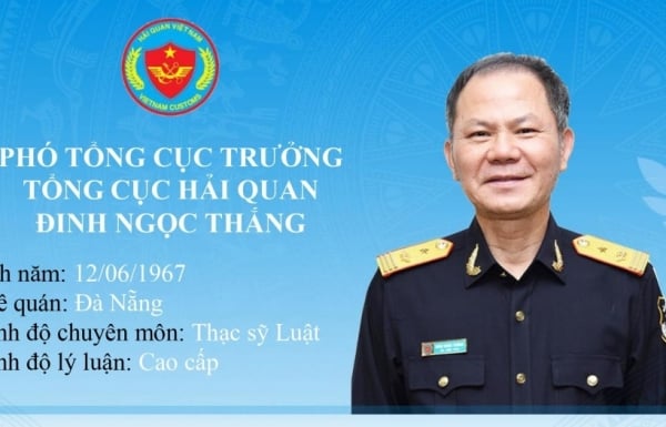 Infographie : Processus de travail du nouveau directeur général adjoint du Département général des douanes Dinh Ngoc Thang