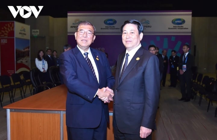 Le président Luong Cuong et le Premier ministre japonais Ishiba Shigeru.