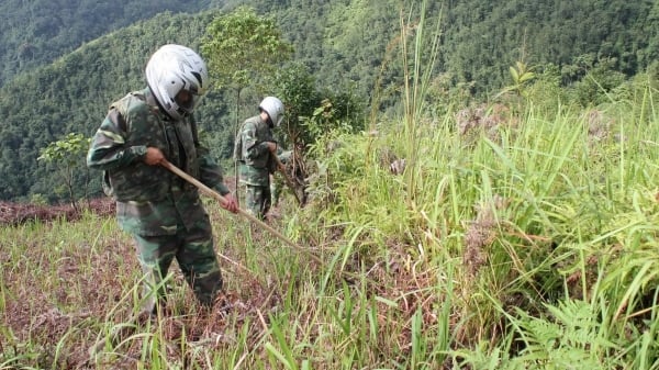 Japón suministra equipos de limpieza de minas por valor de 500 millones de yenes a Vietnam