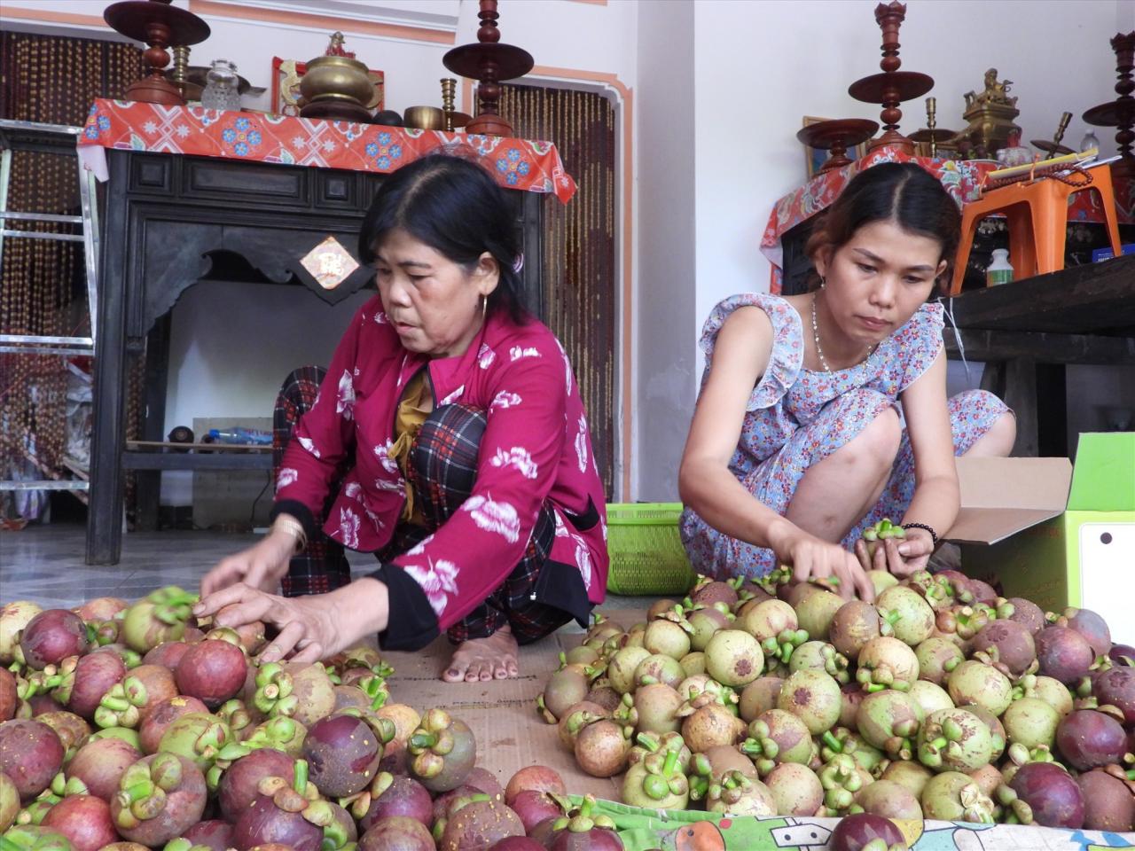 UBND thành phố Thuận An cho biết, thành phố đã tổ chức Lễ hội diễn ra từ ngày 22/5 đến 28/5