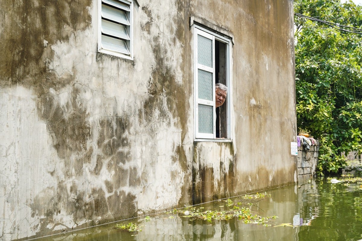 Une « inondation forestière » submerge des centaines de maisons dans la banlieue de Hanoi, photo 7