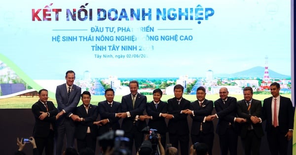 Tây Ninh thu hút đầu tư vào nông nghiệp công nghệ cao