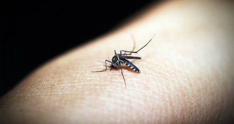 Ne laissez pas la dengue se propager