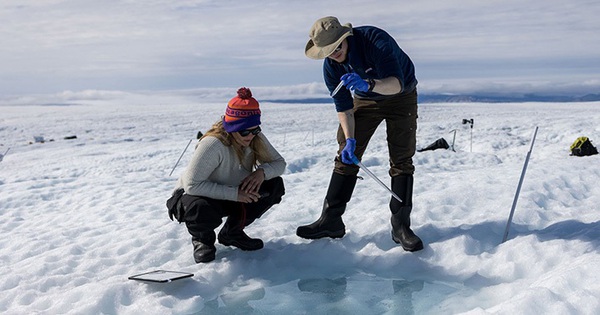 Female scientists venture into the Arctic