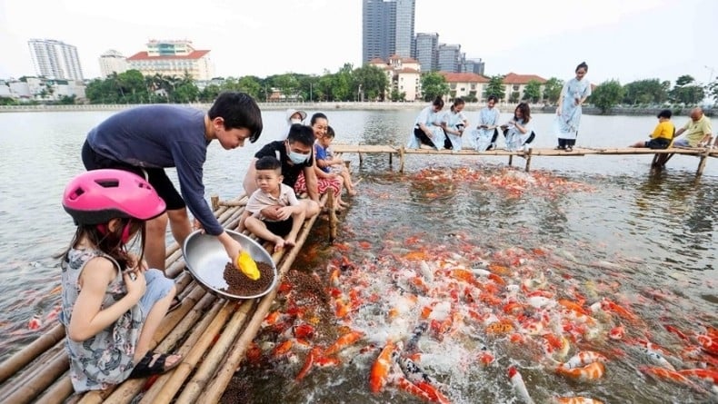 គយគន់ស្រះត្រី Koi ទំហំ 3.5 ហិចតា នៅកណ្តាលទីក្រុងហាណូយ | កាសែត Gia Lai អេឡិចត្រូនិក